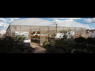 Click Here for Shrubs Gastonia NC - Apluslawnandlandscapinginc.com