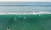 Des dauphins s'amusent à surfer au milieu des surfeurs en Afrique du Sud