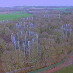 This “forest lab” is preparing for the greenhouse gas levels of 2050 [Mic Archives]