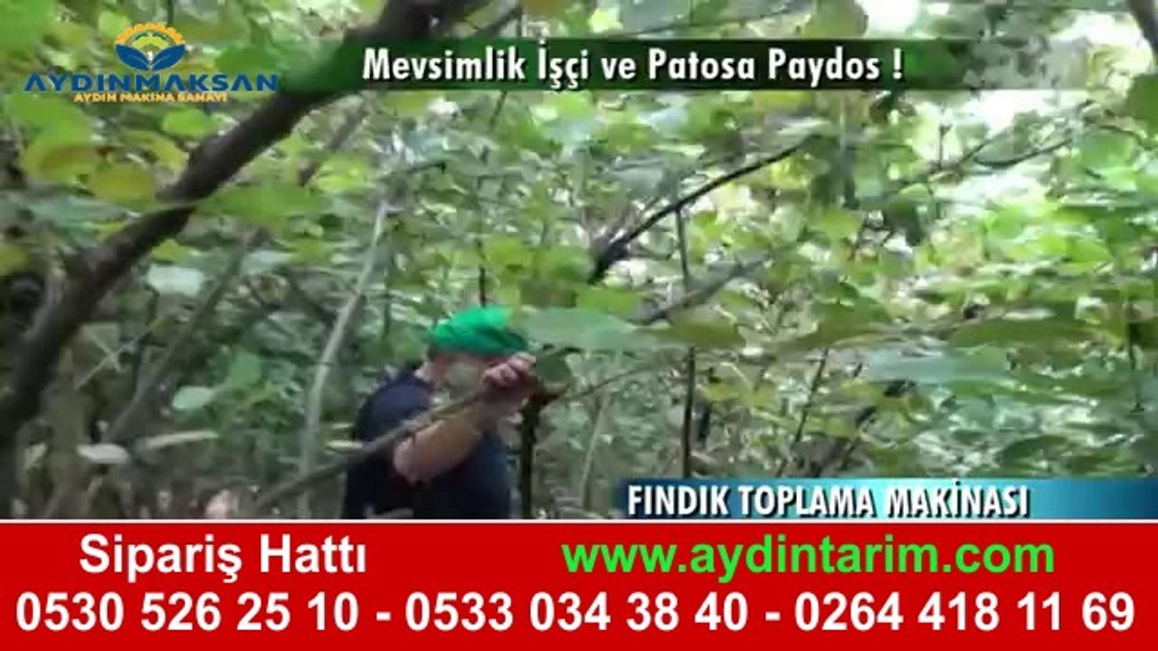 fındık toplama makinaları