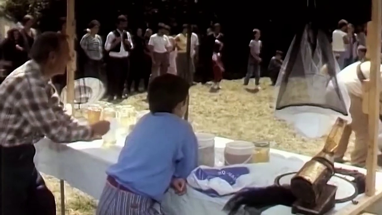 Lepa Brena - Hajde da se volimo - (HDSV, 1987)