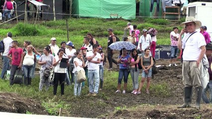 Las FARC ante el reto de pasar de las armas a la política