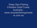 Deep Sea Fishing Charters Gold Coast, Australia - www.smarterfishingcharters.com.au