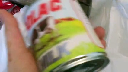 City Tour of Lahore Pakistan by a Female Tourist