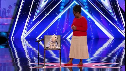 Mia Moore- Counting Canine's Act Adds Up for the Judges - America's Got Talent 2017