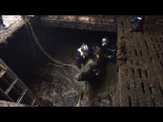 Intervention 2017 01 01