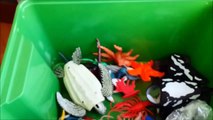 Shark Toys Kids Toy Box Sea Animalhales sea turtles caretta caretta turtles