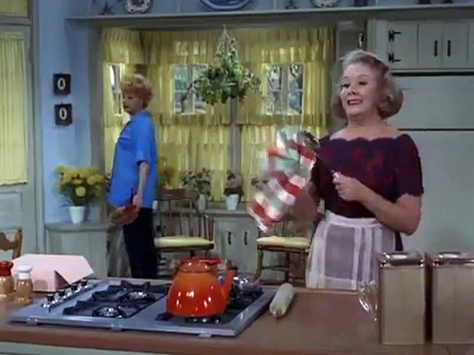 The Lucy Show S02E15 Lucy Goes to Art Class