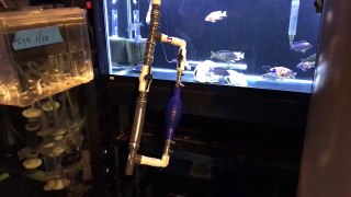 DIY High Speed Aquarium Siphon-x
