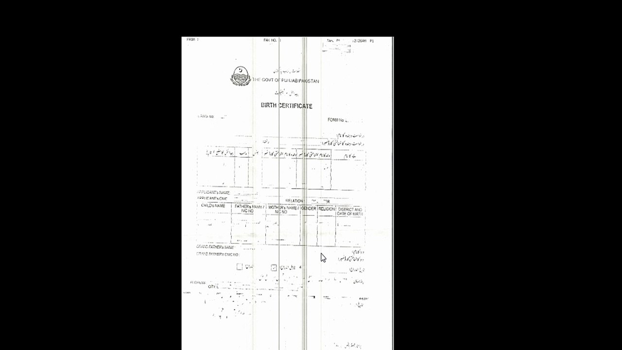 Pakistan birth certificate