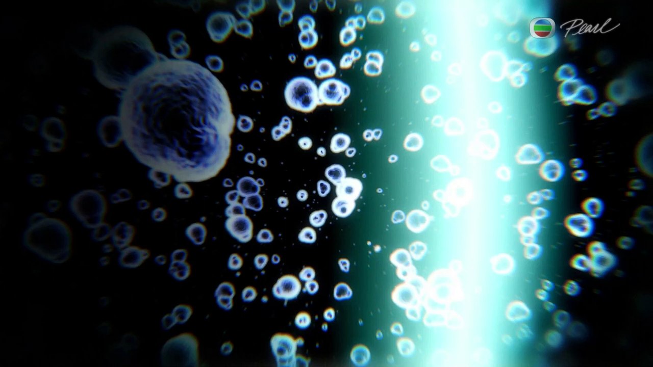 Decoding The Brain・Breakthrough