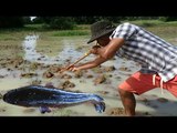 Amazing Man Uses PVC Pipe Compound BowFishing To Shoot Fish - Khmer Fishing At Siem Reap Cambodia
