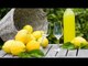 Receta para preparar limoncello. Bebidas italianas / Cocteles / Limoncello receta italiana