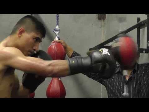 rap star 50 cent and yuriorkis gamboa come to pick a fight with mikey garcia EsNews Boxing