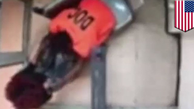 Prison release: Inmate caught on camera receiving special treatment at Rikers Island - TomoNews