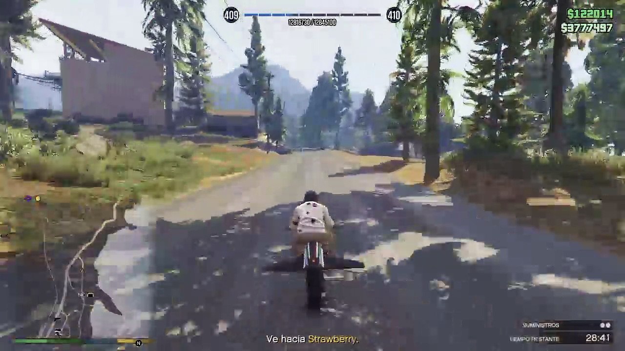 GTA V (54)