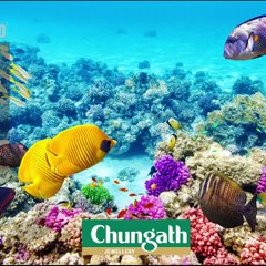 ഗ്രേറ്റ് ബാരിയര്‍ റീഫിന് മൂല്യം 2.7 ലക്ഷം കോടി youtube: https://goo.gl/WKuN8s Facebook:https://www.facebook.com/Anwesh