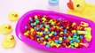 Learn Colors Baby Doll Potty Training M&Ms Chocolate Bath Time Nursery Rhymes Color Finger