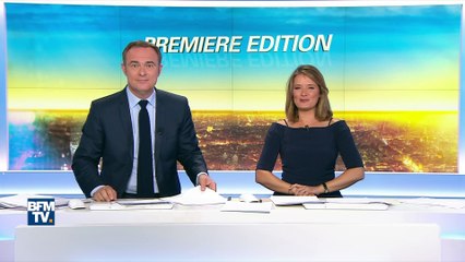 Ces adorables lionceaux ont fait leur première sortie au zoo de Beauval