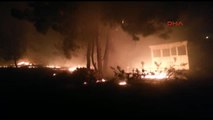 Muğla- Datça'da Orman Yangını