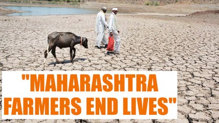 Farmer suicide in Maharashtra : 42 dead over last two weeks | Oneindia News