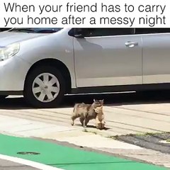when your friend has to carry you home after a messy night! So cute 3