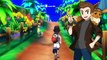 Pokémon Ultra Sun & Ultra Moon ARE GYMS COMING TO THE ALOLA REGION?!