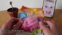 Eating a BABY PIG!! Kluna Tik Dinner #69 | ASMR eating sounds no talk