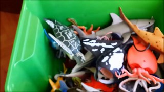 Shark Toys Kids Toy Box Sea Animals Toy Wdfhales