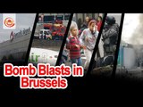 Serial Blasts in Brussels leave 23 civilians Dead and 35 Injured || 2 Blasts in Airport