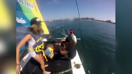 FAILS OF THE WEEK January - Week 2 2017 _ Funny Fail Comp