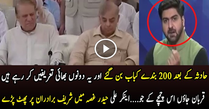 Syed Ali Haider Badly Bashing Nawaz Shareef And Shehbaz Shareef