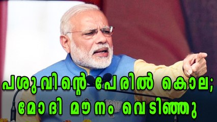 Taking Life In Name Of Protecting Cows Unacceptable, Says PM Modi | Oneindia Malayalam