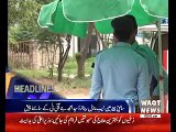 Waqtnews Headlines 02:00 PM 29 June 2017