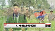 N. Korea suffering from severe drought sends top official to affected regions