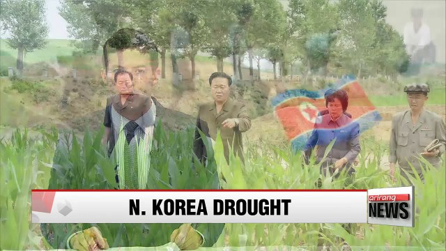 N. Korea suffering from severe drought sends top official to affected regions