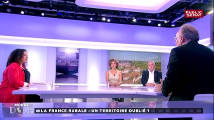 Le terme d'"égalité des territoires" est contre-productif, pour Daniel Behar, géographe