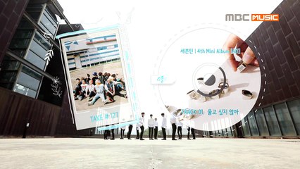 세븐틴 - 울고 싶지 않아 (PERFORMANCE Ver.)