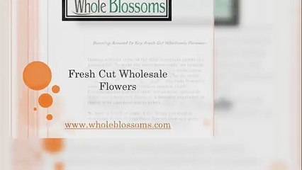Fresh Cut Wholesale Flowers - Wholeblossoms