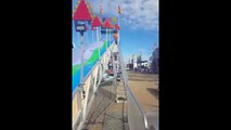 Funny Cats Playing on Slides Compilation _ F234234wer