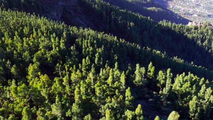 Miradores de la Esperanza - Tenerife, Spain