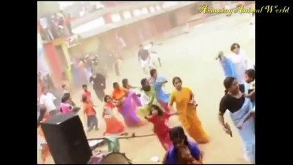 pakistan - Scary and Shocking Animal Attacks on Humans Compilation 2017