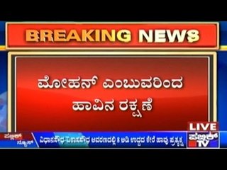 Snake In Vidhan Soudha Premisis