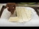 How to make Stonned Ice Cream, Pizza, Fried Chicken, French Fries, Bhimaavram