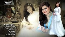 Pashto New Song 2017 Gul Sanga Rasha Sanam