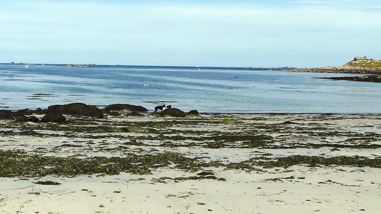 Plage 6