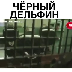 arm_criminal  "Черный Дельфин"