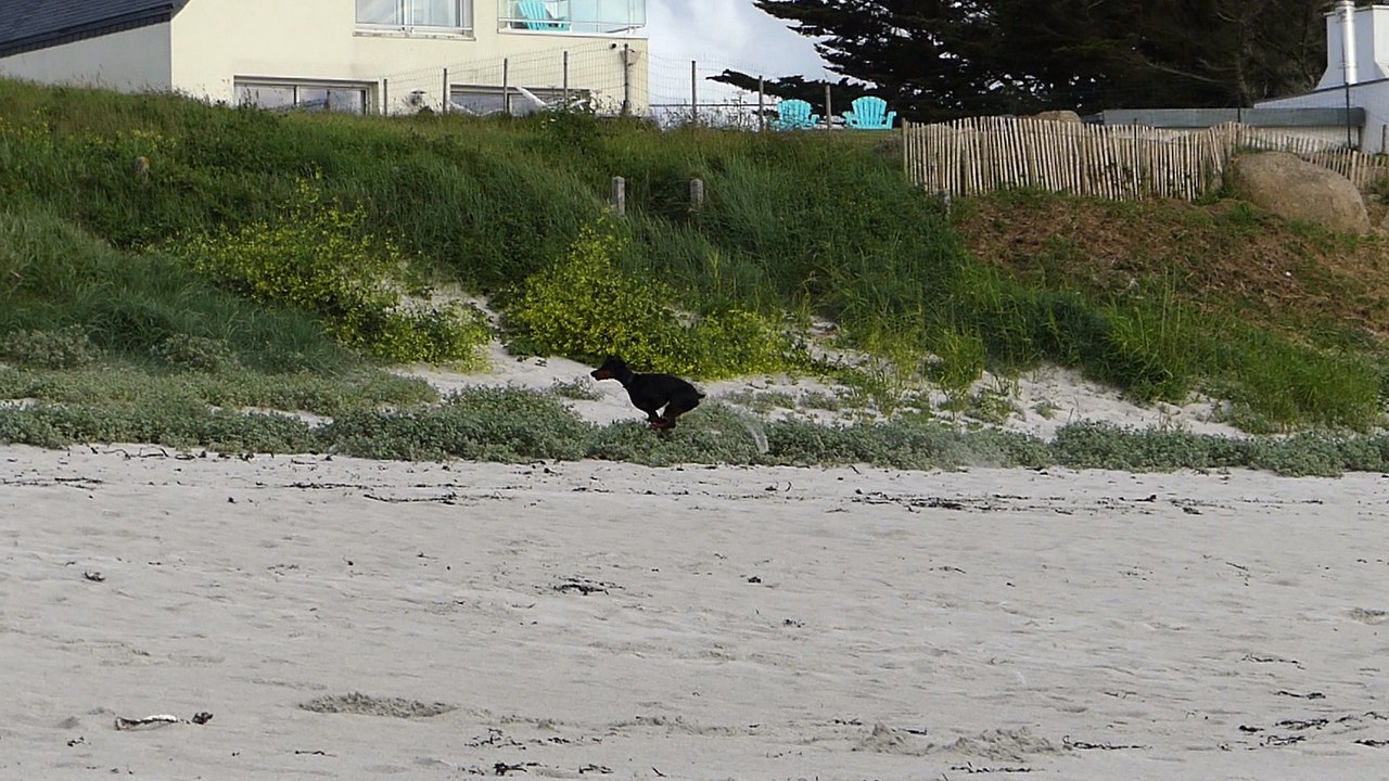Plage 11