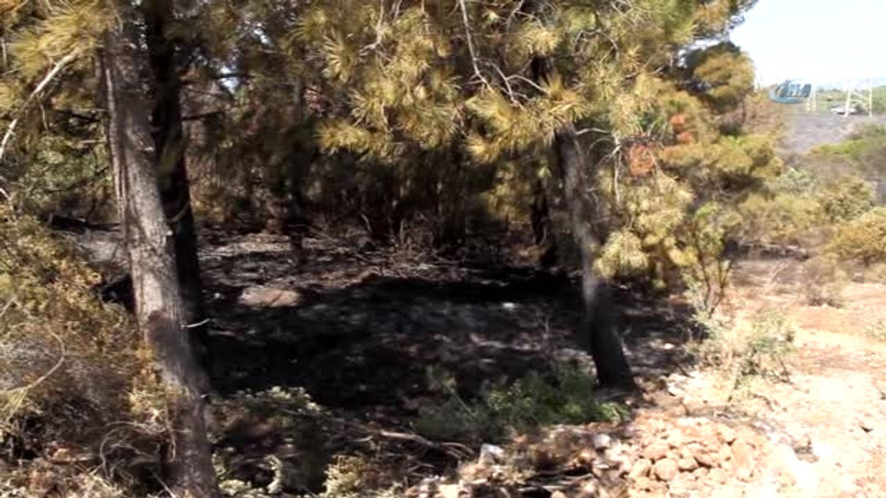 Datça Orman Yangının Ardından Geriye Bu Görüntüler Kaldı