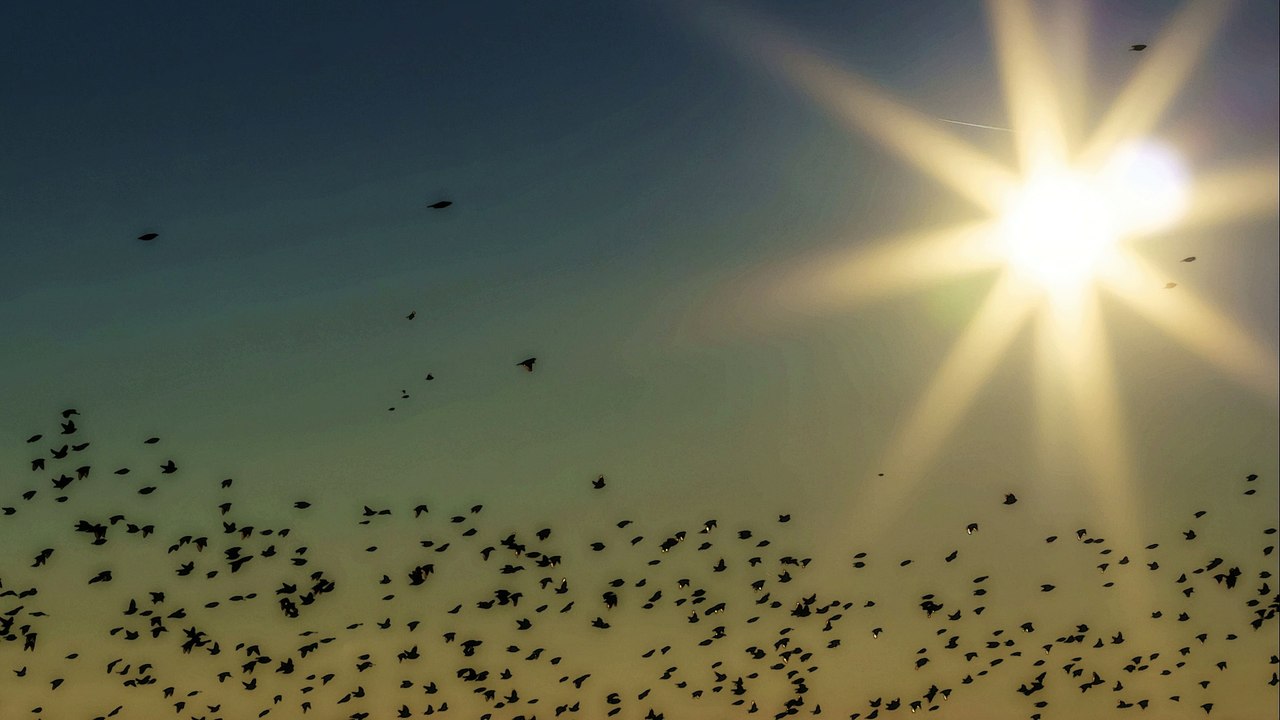 Handel · messiah · and suddenly there was with the angel - glory to god in the highest, and peace on earth (chorus)